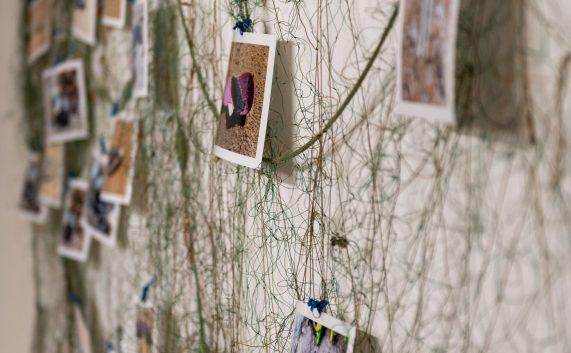 Ausstellung "MARE" mit Werken von Michael Borgelt, Monika Runge und Christian Mitschke